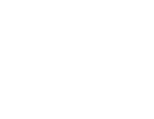 prospanica logo