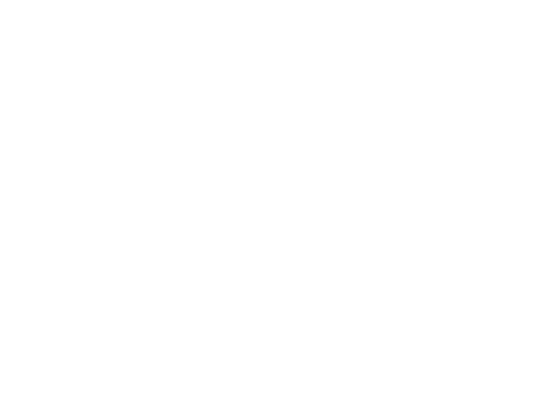 prospanica logo